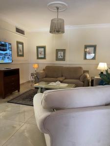 安曼A Luxury 2 Bedroom With a perfect location in Sweifiyeh的客厅里有一张沙发和一张桌子。