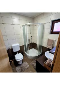 a bathroom with a shower and a toilet and a sink at Holiday home Maša - Kupres in Kupres +15 photos