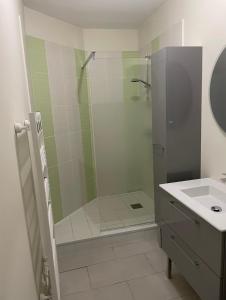 a bathroom with a shower and a sink at chambre sur le circuit des 24h du Mans in Ruaudin +5 photos