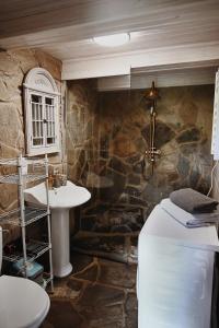 Ojcowska Stodoła - wooden cottage في Wola Kalinowska: حمام حجري مع حوض ومرحاض