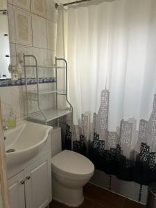 baño con aseo y cortina de ducha de la ciudad en Cabañas Hain, en Porvenir