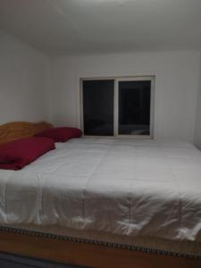 a large white bed in a room with a window at Hostal Yei, Punta Arenas in Punta Arenas +9 photos