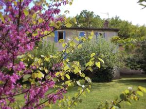 Chambre d'hôtes Le Devezou في سانت أفريك: منزل خلف شجرة ذات أزهار أرجوانية