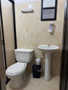 Hotel Real Alejandria في Alejandría: حمام مع مرحاض ومغسلة