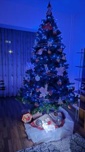 Ảnh trong thư viện ảnh của Noah Apartment ở Craiova