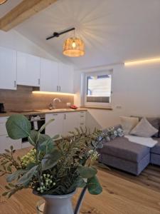 a living room and kitchen with a couch and a plant at Lake View Lodge in Flachau