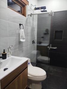 um banheiro com vaso sanitário, chuveiro e pia em Villa Mastrodomenico em Villa de Leyva