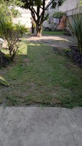 a grassy yard with a tree and a sidewalk at casa ex hacienda casasano in Cuautla Morelos