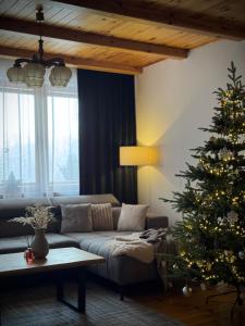 Χώρος καθιστικού στο Dom w górach Saganówka Beskidy