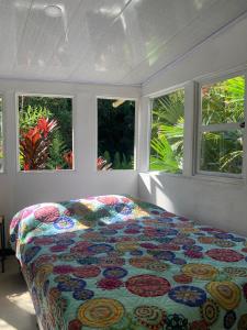 Giường trong phòng chung tại El Regalo Finca Hostel +58 ảnh