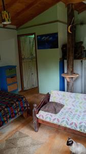 une chambre avec un lit et un chat assis par terre dans l'établissement Kailash, à La Porteña