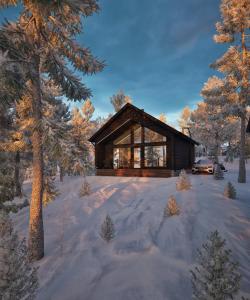 een blokhut in het bos in de sneeuw bij Villa Blueberry in Kolari