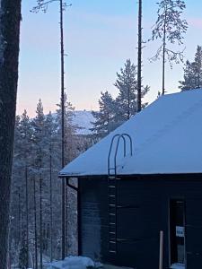een met sneeuw bedekt gebouw met een ladder erop. bij Villa Blueberry in Kolari +3 foto's
