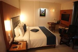 TV a/nebo společenská místnost v ubytování Hotel Krithick grand