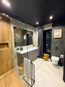 een badkamer met douche, wastafel en toilet bij Dom w czerni in Górniki +13 foto's