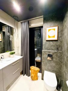 een badkamer met een toilet, een wastafel en een douche bij Dom w czerni in Górniki