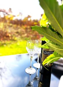 Φωτογραφία από το άλμπουμ του Gemütliches Apartment im Bayerischen Wald POOL SAUNA WiFi σε Zwiesel