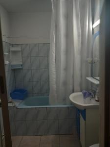 un bagno con tenda da doccia e lavandino di Apartament a Curtea de Argeş