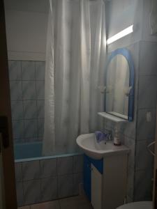 bagno con lavandino e doccia con vasca di Apartament a Curtea de Argeş