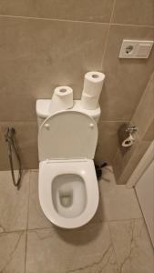 a bathroom with a toilet with two rolls of toilet paper at Kaunas Studios - RentA 18 in Kaunas +34 photos