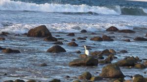 Fotografie z fotogalerie ubytování Casa Olivia 2 Bedroom Holiday Home in Higuera Blanca, Near Punta Mita & Sayulita v destinaci Higuera Blanca