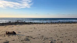 Fotografie z fotogalerie ubytování Casa Olivia 2 Bedroom Holiday Home in Higuera Blanca, Near Punta Mita & Sayulita v destinaci Higuera Blanca