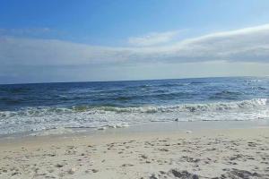 una spiaggia sabbiosa con l'oceano sullo sfondo di Serenity on Sable a Perdido Key