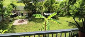 Zahrada ubytování Tree House