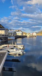 een groep boten is aangemeerd in een haven bij Arctic Nest in Nyksund +8 foto's