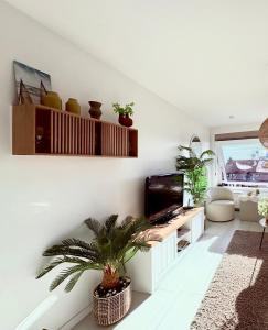 BEACH apartment met directe toegang tot het STRAND ! في كنوك هايست: غرفة معيشة فيها تلفزيون والنباتات