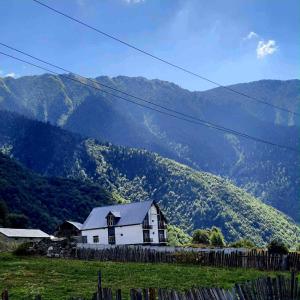 Příroda nedaleko hotelu