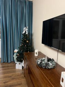 a christmas tree in a living room with a television at Apartament doua camere in Baia Mare