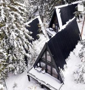 an overhead view of a house covered in snow at ZlatAir Black Boutique Chalets in Nova Varoš