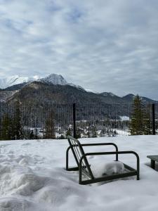 una panchina nella neve con una montagna sullo sfondo di Stone Suite Zakopane a Zakopane