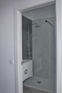 Un baño con ducha y lavabo blanco. en Apartamento Laranjeiras dois, en Bicas