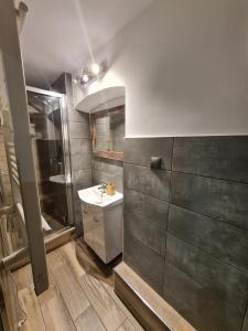 Ένα μπάνιο στο Studio pod Śnieżnymi Kotłami +8 φωτογραφίες