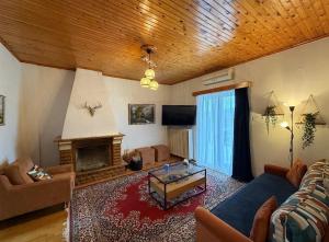 a living room with a couch and a fireplace at Kastellia Horizon Villa in Graviá