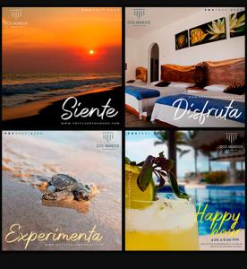 a collage of pictures of a resort with a turtle on the beach at Hotel Dos Mundos Monterrico - Pacific Resort in Taxisco