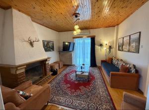 a living room with a couch and a fireplace at Kastellia Horizon Villa in Graviá