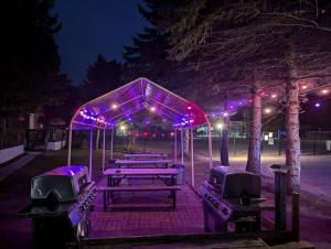 Πινγκ πονγκ στο Tiny Wood Cottage 10 ή εκεί κοντά