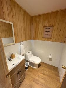 a bathroom with a toilet and a sink at Yelcho en la Patagonia in Chaitén