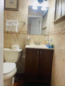 Un baño con inodoro, lavabo y espejo. en Cozy home, en Pompano Beach