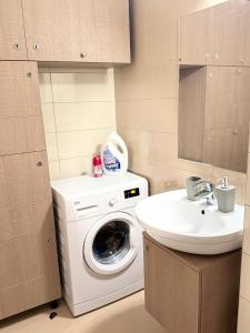 a bathroom with a washing machine and a sink at Casa MIO in Braşov