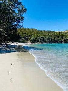 Phong cảnh thiên nhiên gần nhà gỗ