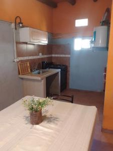 una cucina con un tavolo con una pianta in vaso sopra di El Espinillo2 a La Falda