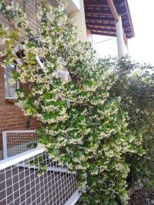 Galeriebild der Unterkunft Lo de Vlady in Mina Clavero