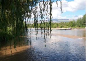 a tree hanging over a body of water at Lo de Vlady in Mina Clavero +13 photos