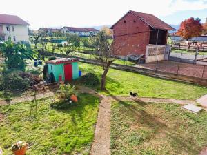 Casa nonna Gina في سان فرانشيسكو أل كامبو: وجود قطه جالسه على العشب في ساحه