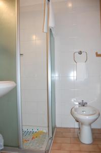 a bathroom with a shower and a toilet and a sink at Hotel Delle Alpi in Sondalo