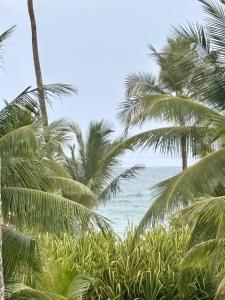 Příroda nedaleko penzionu – hostince + 49 fotografií